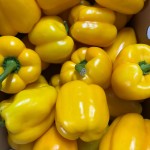 Yellow Cup Peppers