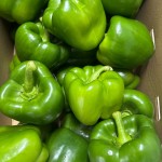 Green Cup Peppers