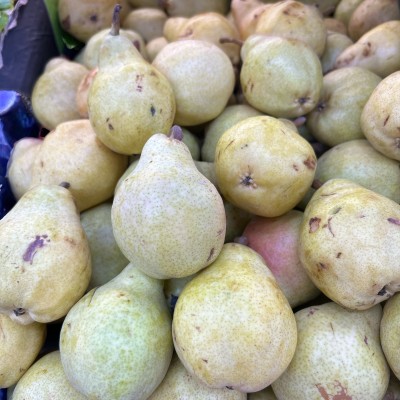 William Pears