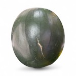 Seedless Water Melon
