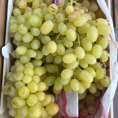 Sultana Grapes